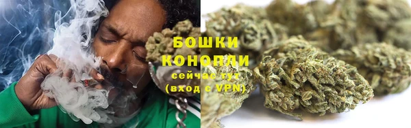 дживик Верхний Тагил