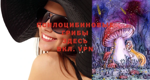 трава Верхнеуральск