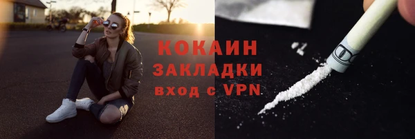 дживик Верхний Тагил