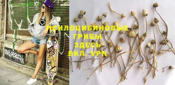 трава Верхнеуральск