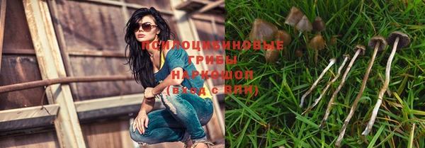 дживик Верхний Тагил
