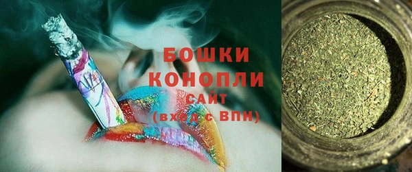 дживик Верхний Тагил