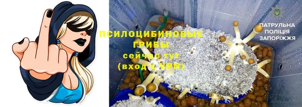 трава Верхнеуральск