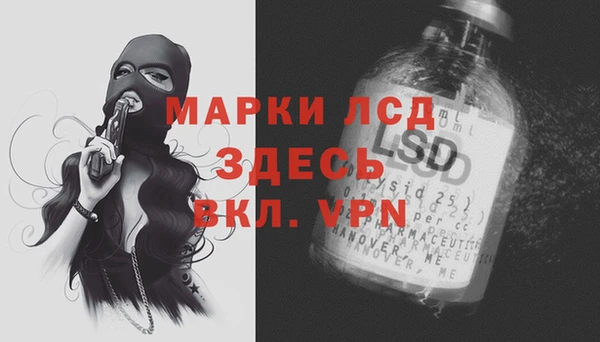спайс Верея