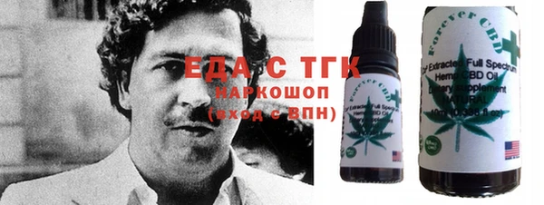 дживик Верхний Тагил